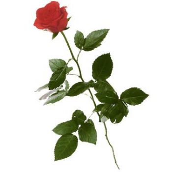 Era gi� amore