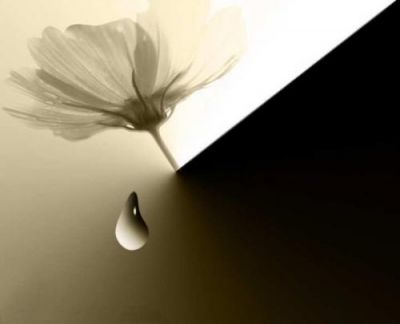 Ombra nella notte  