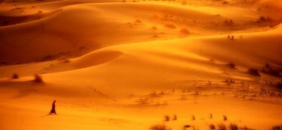 Figlio del Deserto