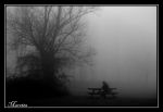 Umido silenzio  