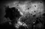 Loquace silenzio