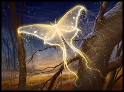 Anima ribelle
