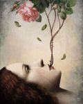 Lembi di verit� nascoste