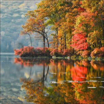 Il dolce abbraccio dell�autunno