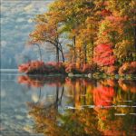 Il dolce abbraccio dell�autunno