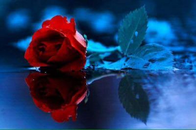 Passione