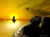 cercando per mare