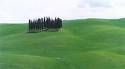 vagando nei sussurri del campo di grano