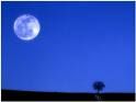 Compagna luna