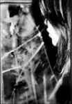 Le foglie morte