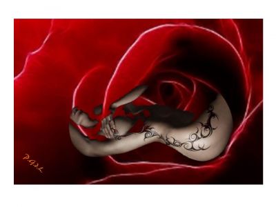 La rosa