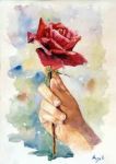 Il valore della passione  