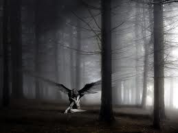 The dark lady