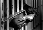 Sulla metrica ti rispondo per le rime - Sonetto