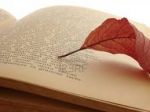 Mi chiedo perch� continuo a scrivere poesie