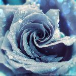 Sinestesia d'Amore