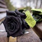 Il tuo ricordo