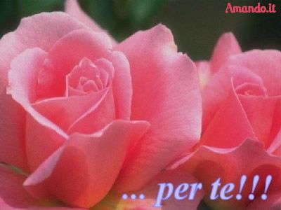 'A 'Nnammurata mia  