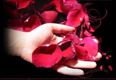 Amar � ousar