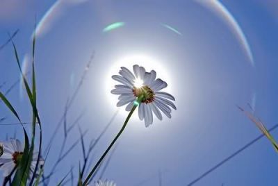 Acque di felicit�
