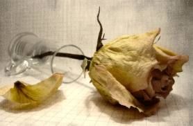 L�Ultimo Poema