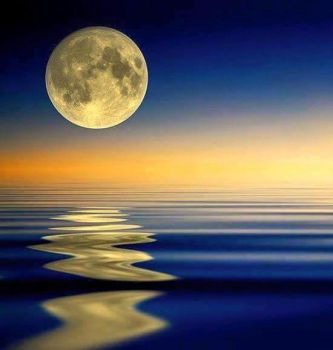 Tante lune