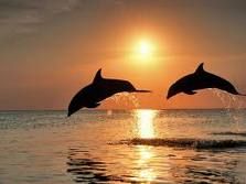 Sogno d'amore  