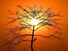 Di calda luce