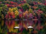 Quello che � della poesia