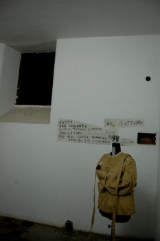 La voglia dei matti