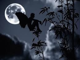Notte alla vita