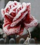 L'inverno pi� lungo