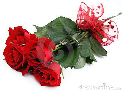 Rose d'inverno  
