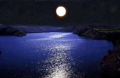 Notte estiva sulla spiaggia  
