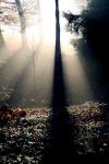 Soffusa intimit�