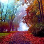 Nella luce dell'amore