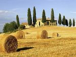 Dove gli ulivi abbracciano l'Appennino