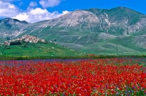 Sera al casale