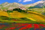 Sogno d' estate sull'altopiano