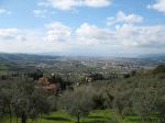 Colli fiorentini