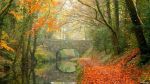 Sera d'autunno