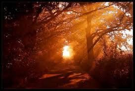 Nel Tramonto