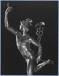 IL caduceo  