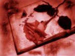 Care lettere d'amore