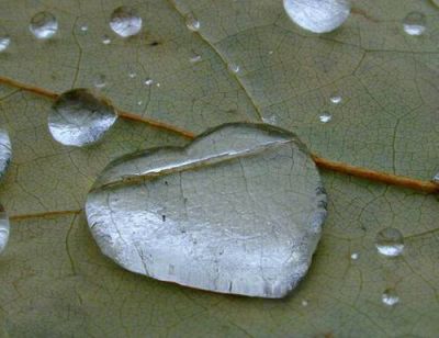 Quasi piove