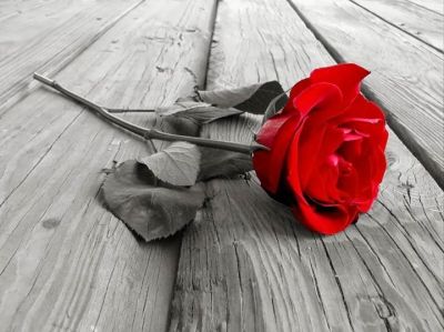 I silenzi dell'amore