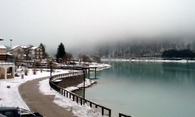 Osservando l'inverno