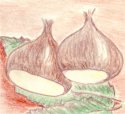 castagne