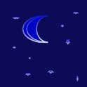 Notte serena