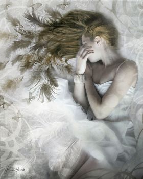 Il volo bianco  